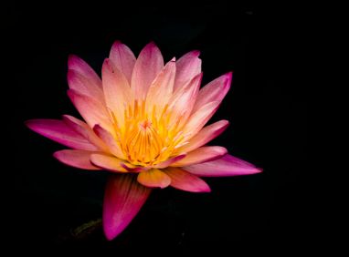 Foto: © Ryan Baker, unsplash Foto: © Ryan Baker, unsplash